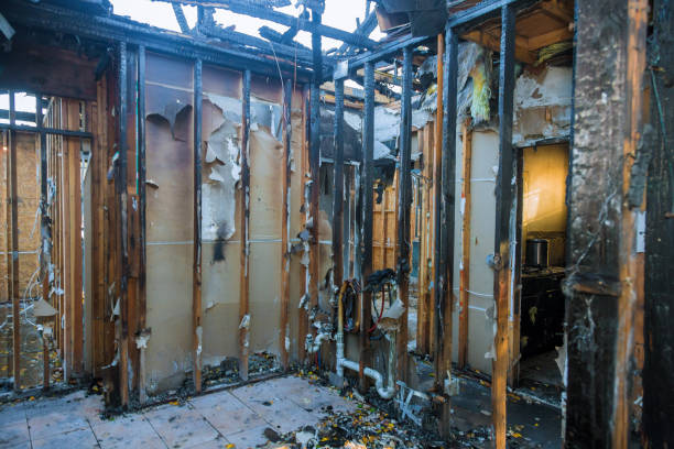 Professional Fire Damage Removal technician working in Issaquah, WA