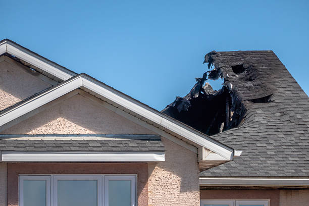 Top rated local Fire Damage Removal specialists in Issaquah, WA